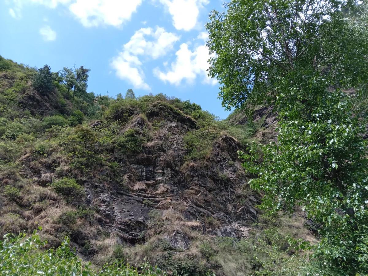Soulville 2.0 Nagar  Luaran gambar